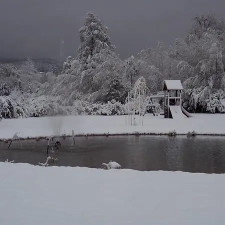 Ξενοδοχείο Grandhotel Niederoesterreichischer Hof Lanzenkirchen