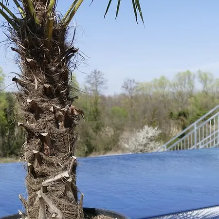 Hotel Grandhotel Niederoesterreichischer Hof Lanzenkirchen