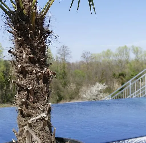 Hotel Grandhotel Niederösterreichischer Hof Lanzenkirchen